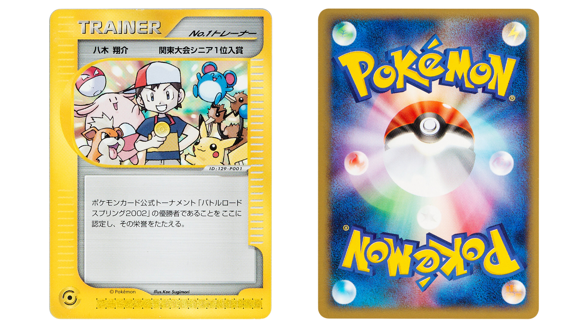 Pokemon Trainer Cards Individual Cards 