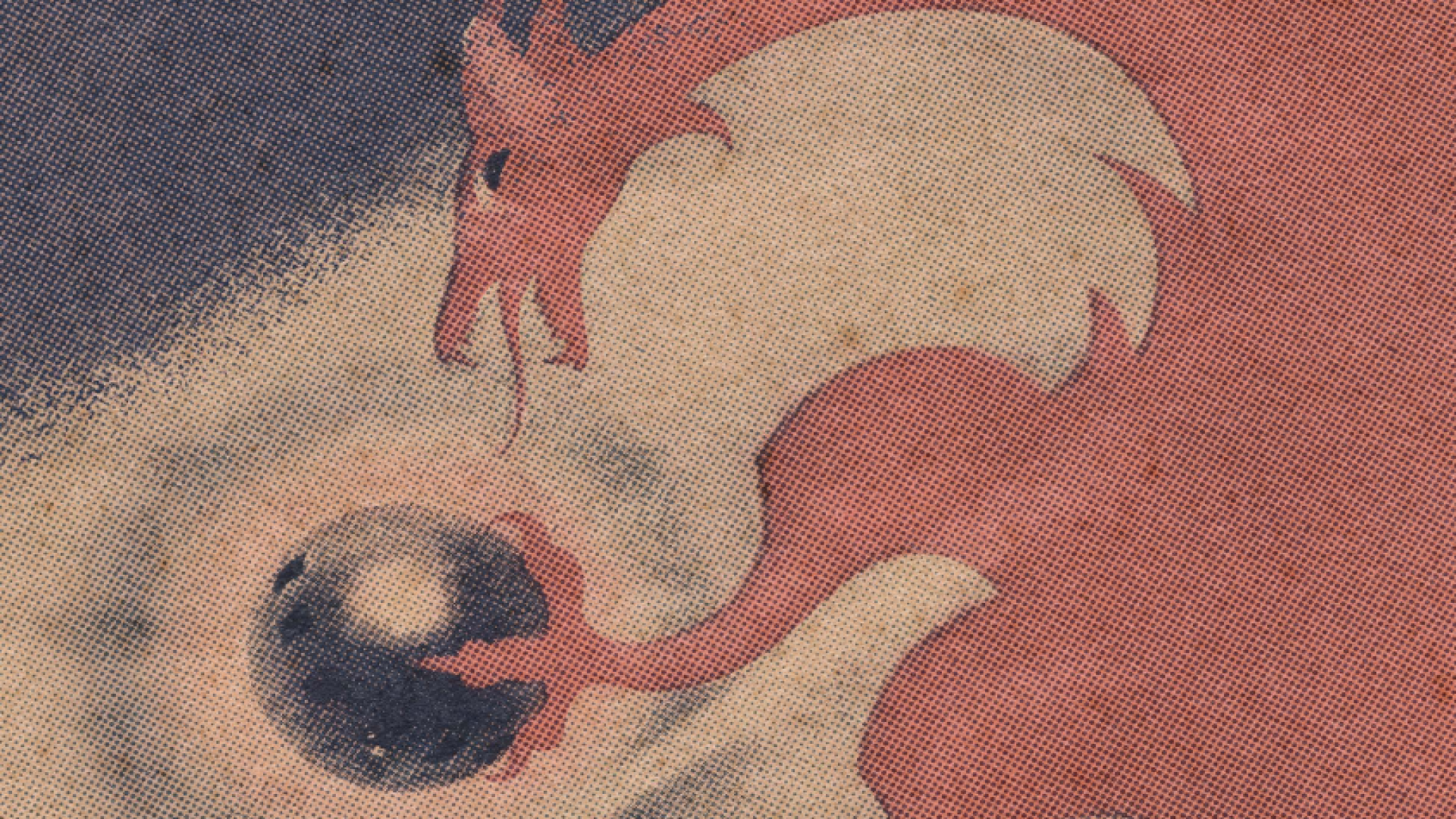 Image for No-frills RPG A Dragon Game pokes fun - and holes - in Dungeons & Dragons’ design