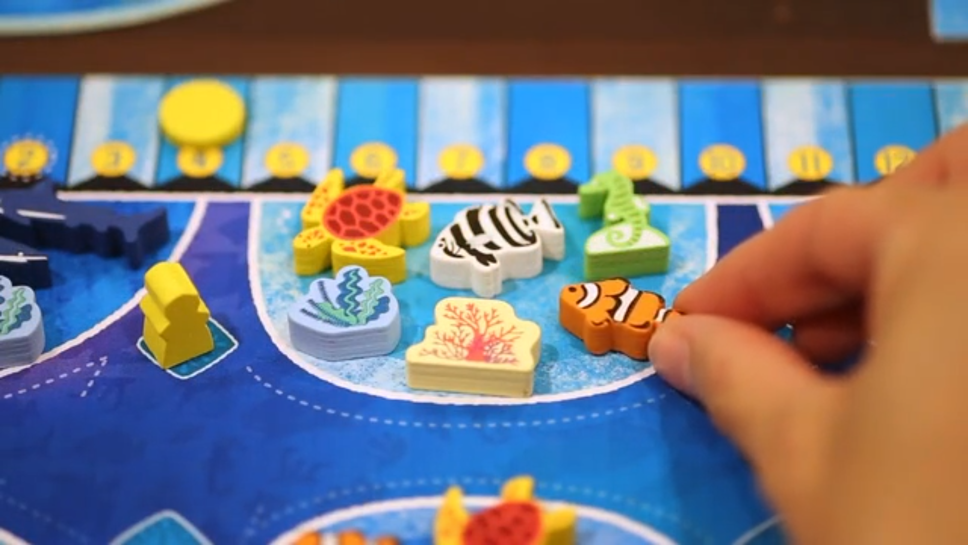 Image for Create a marine paradise in fish-placement board game Aqua Garden