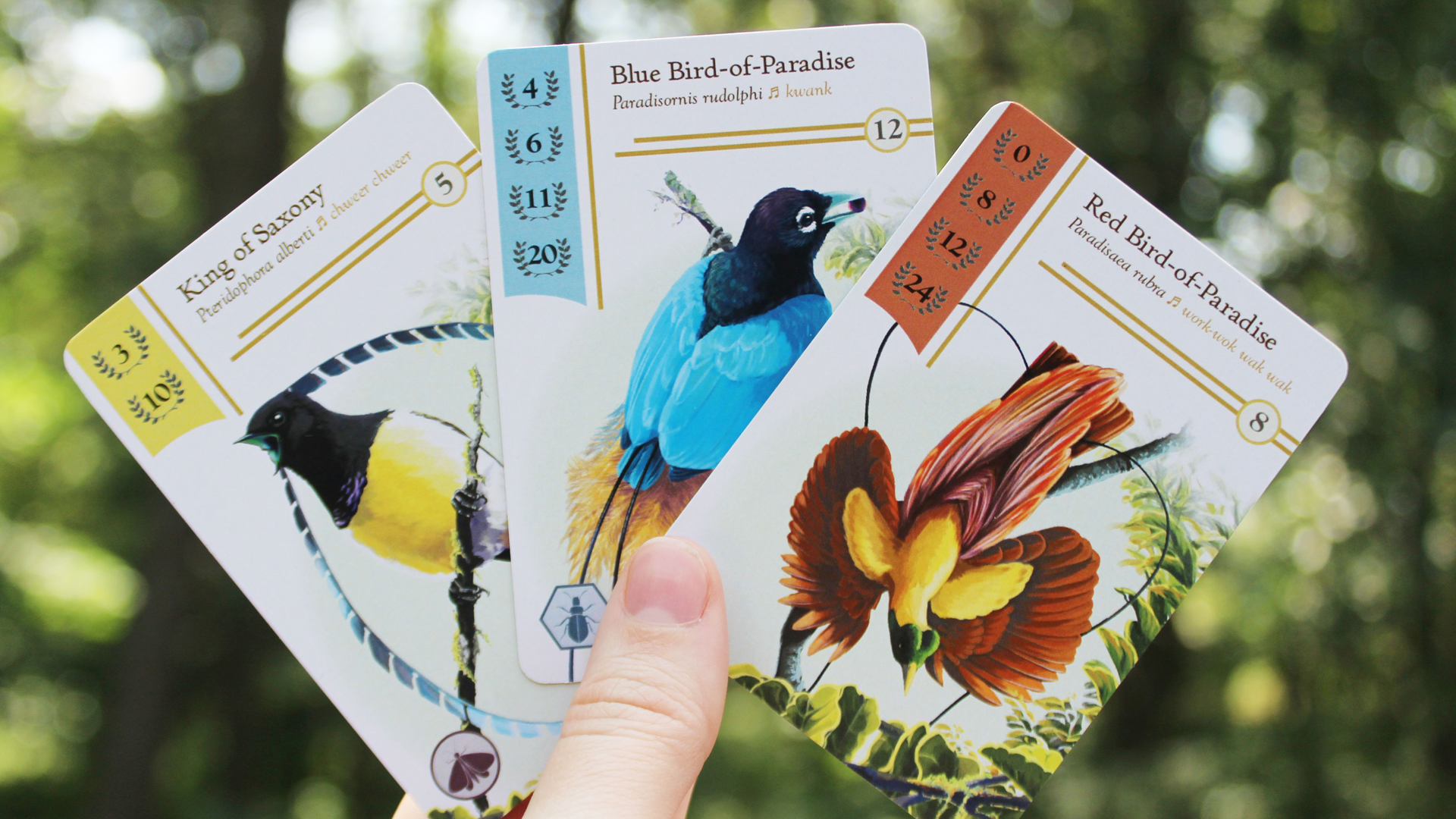 Wingspan will be joined by another bird-themed board game, Birdwatcher |  Dicebreaker