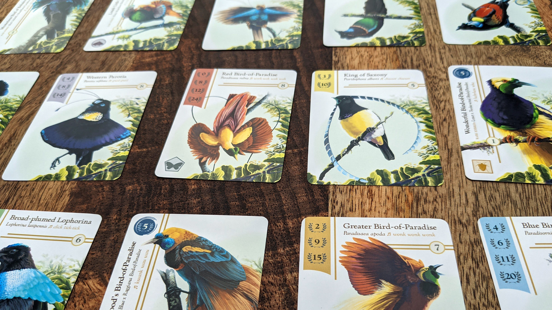 Birdwatcher card image