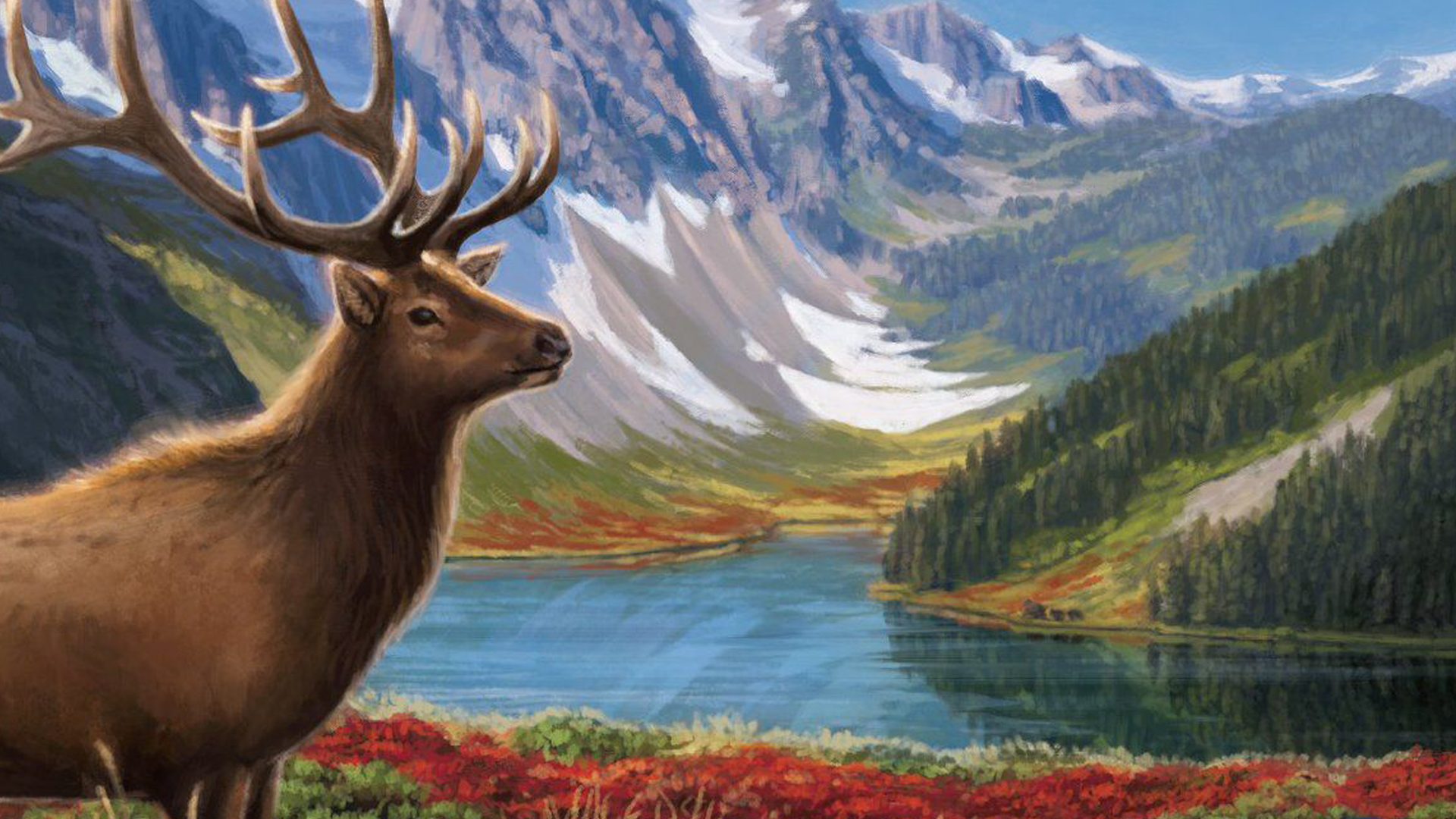 Cascadia board game artwork