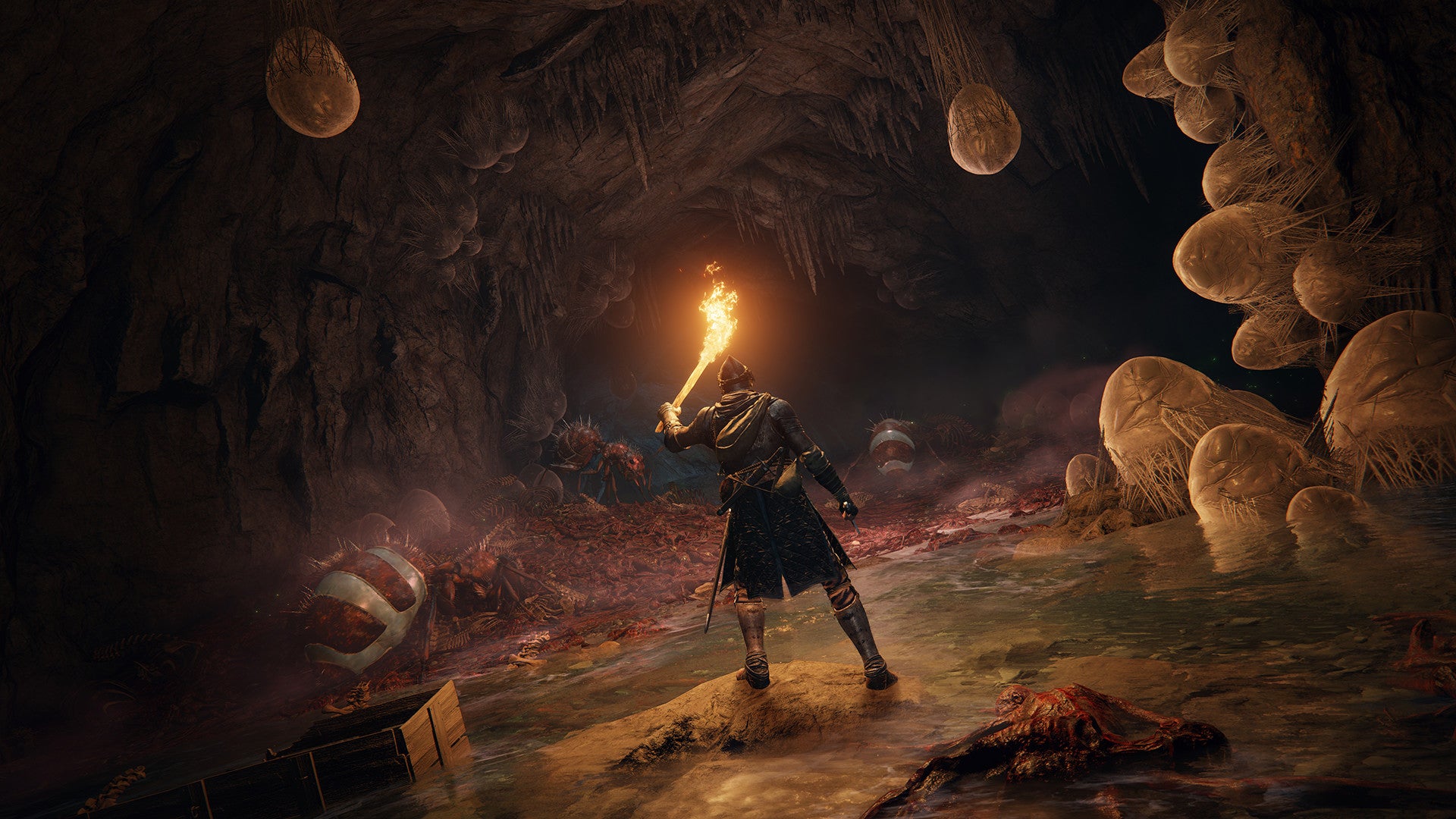 A player character holds a lit torch to illuminate a dark dungeon tunnel in Elden Ring