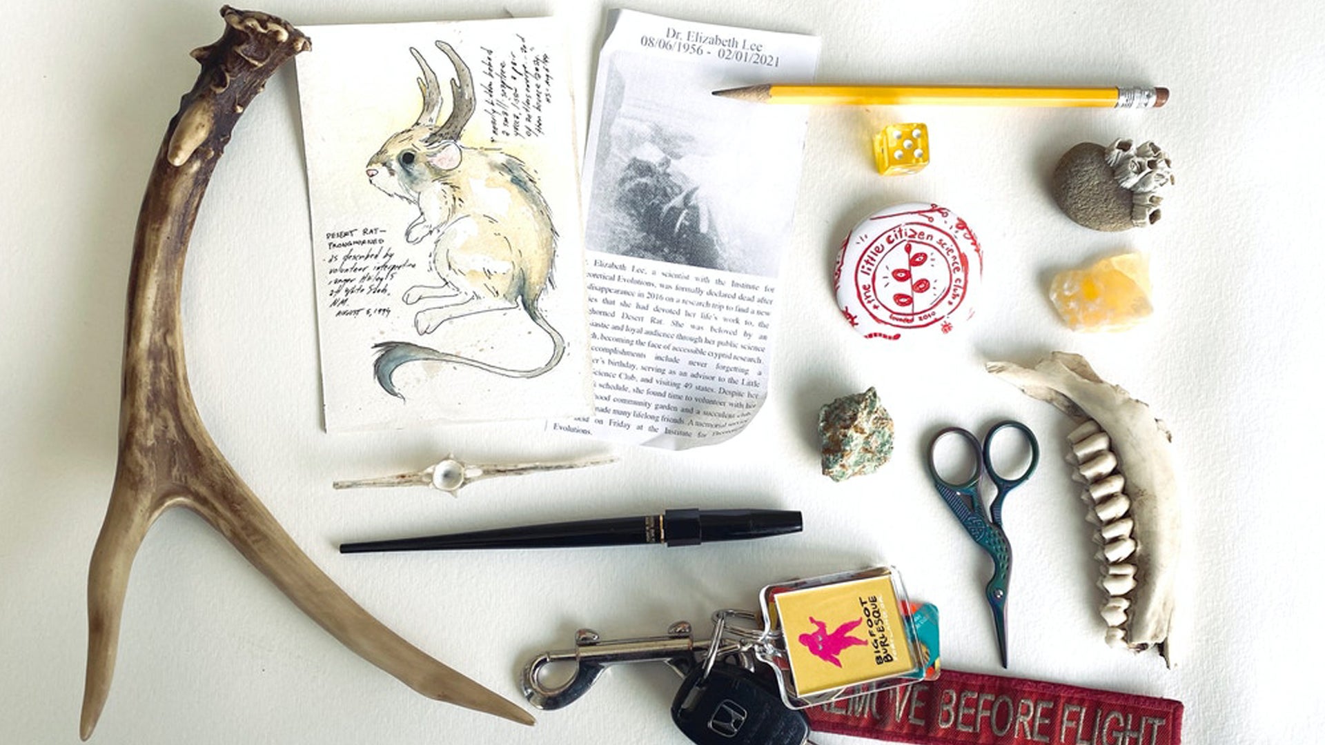Image for Field Guide to Memory
