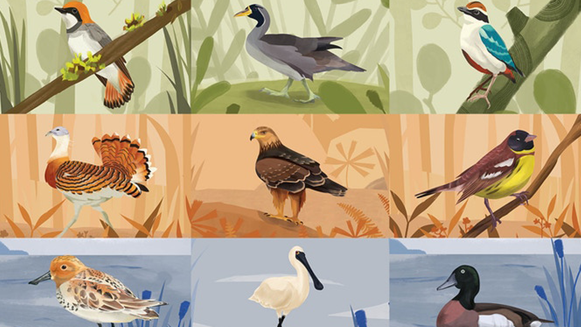 Fly A Way Takes Its Cues From Wingspan As Another Board Game About Bird Conservation Dicebreaker