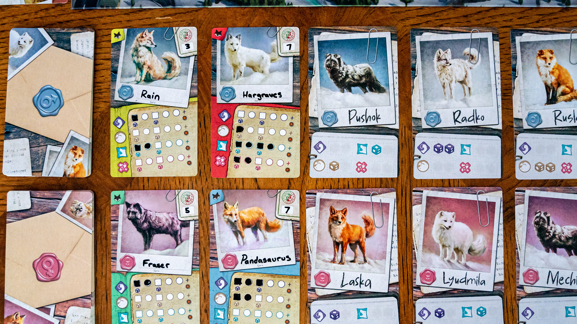 An image of the cards for The Fox Experiment