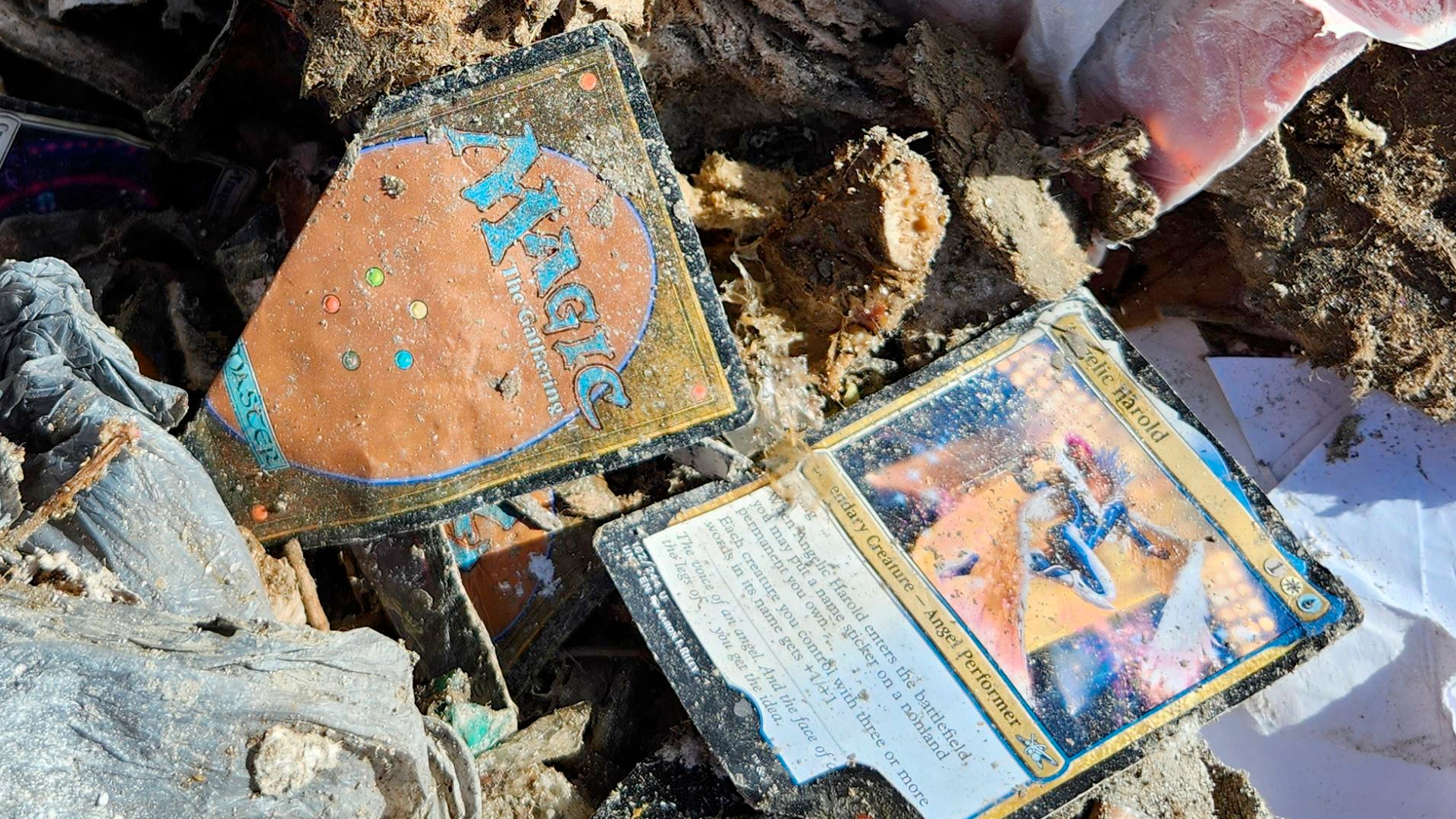 Image for Thousands of dollars worth of pristine Magic: The Gathering boosters were discovered in a garbage dump, then destroyed