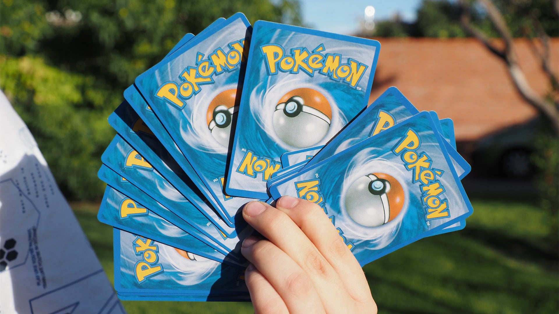 A boy holding a hand of Pokemon cards in front of a blurred background of trees and a root