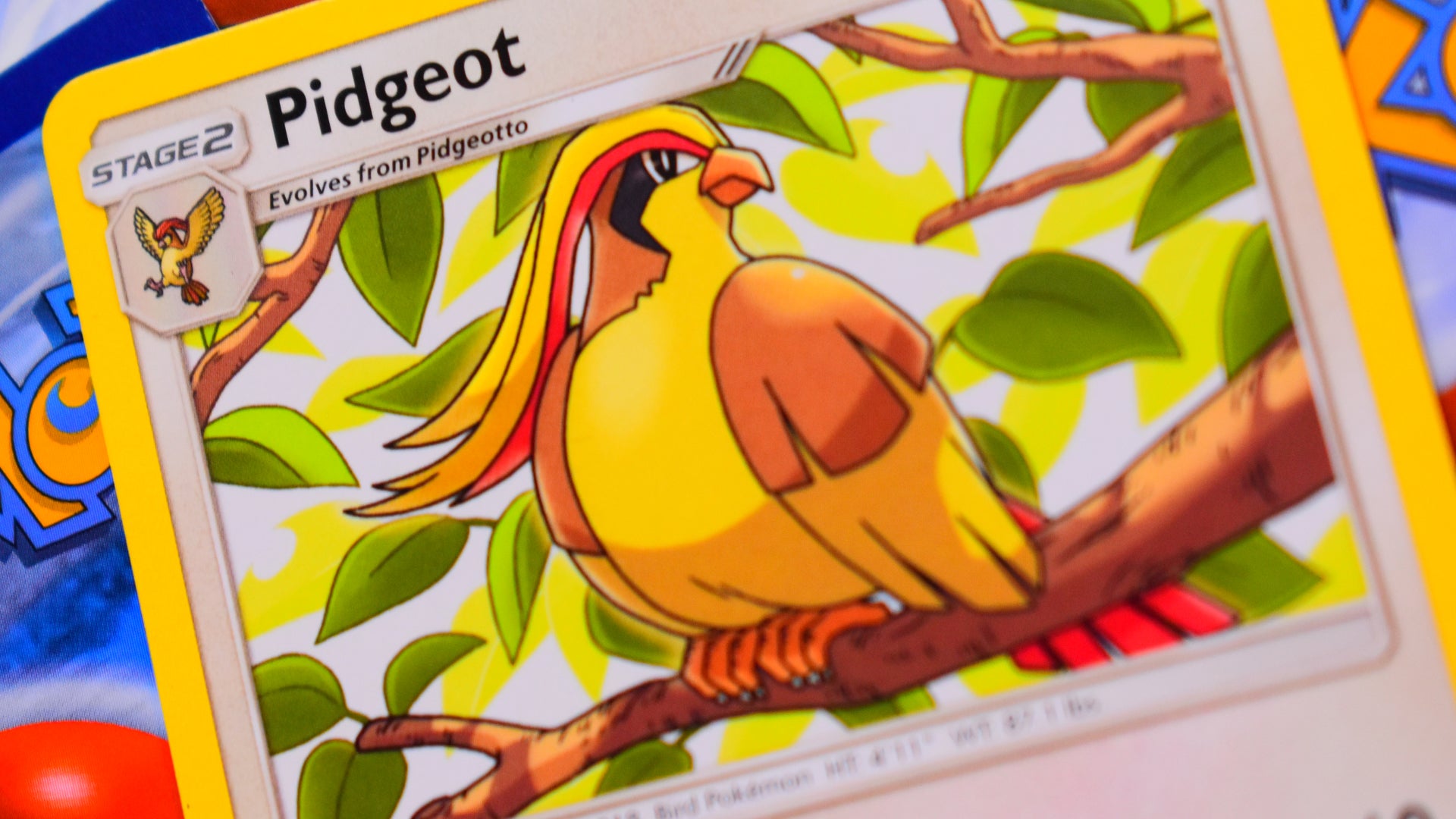 Pokemon Trading Card Game card Pidgeot
