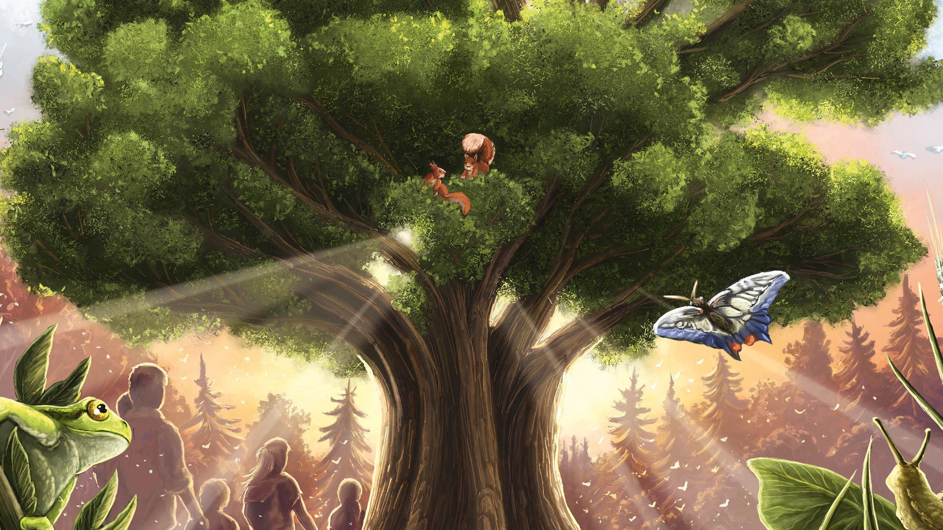 Renature board game artwork