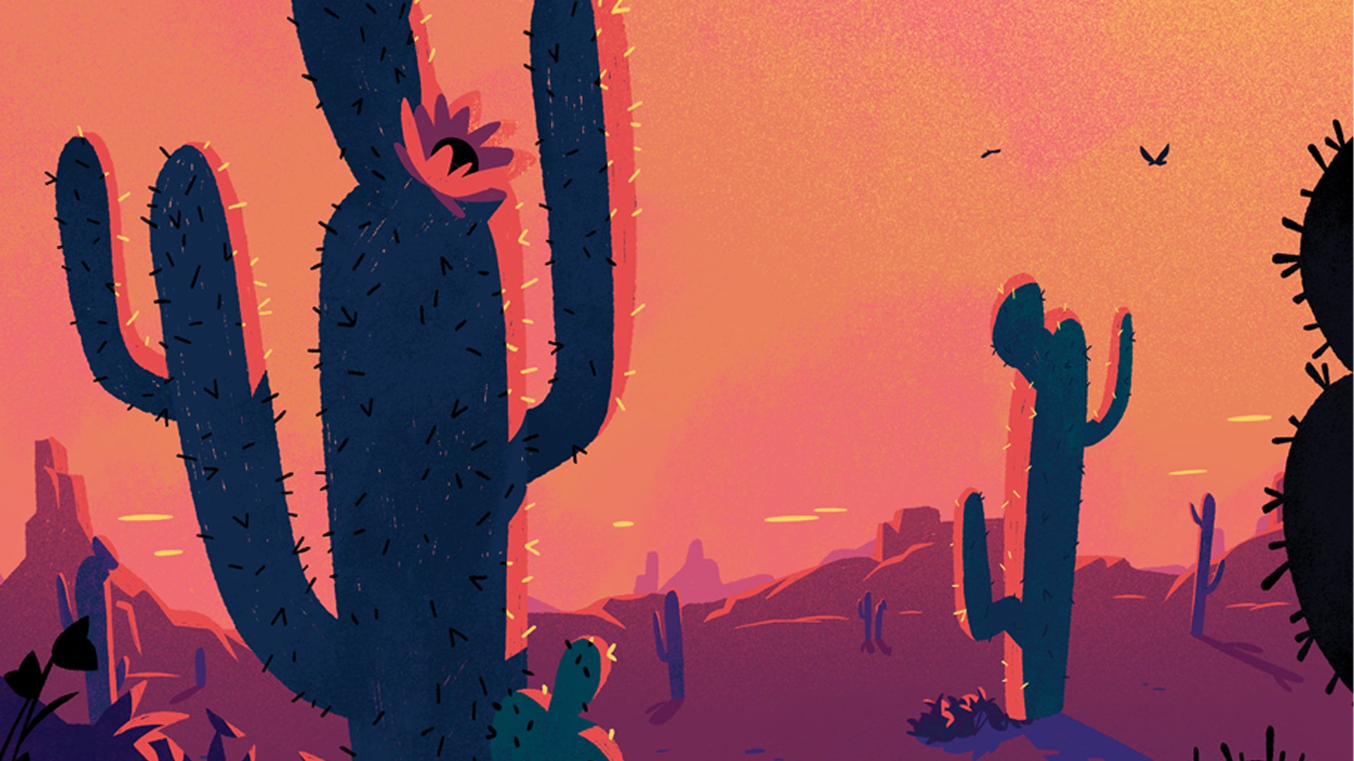 Sonora board game artwork