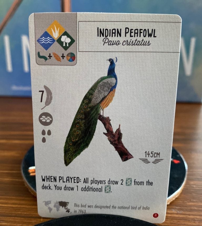 An image of the Indian Peafowl card for Asia expansion