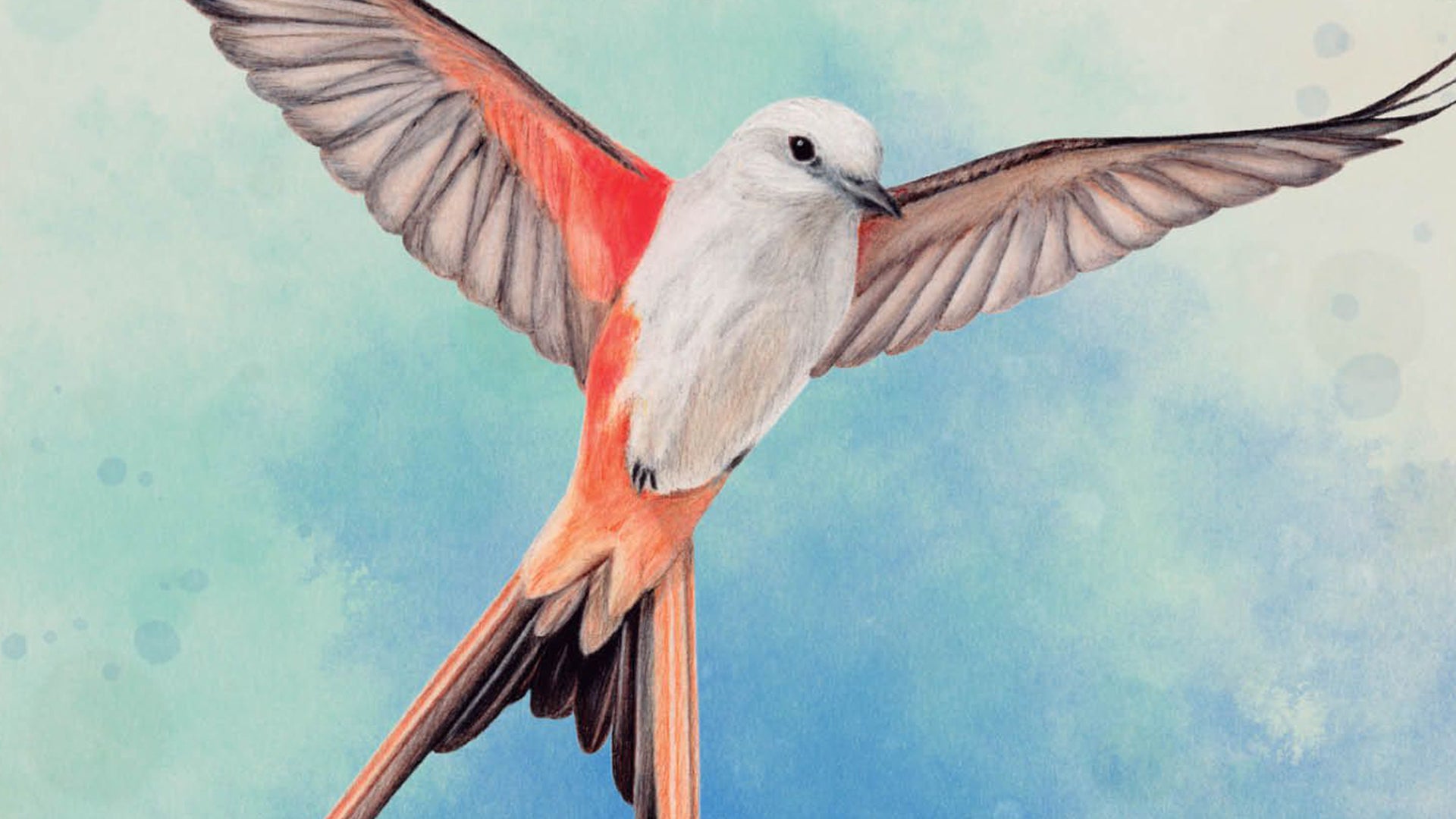 Wingspan board game artwork